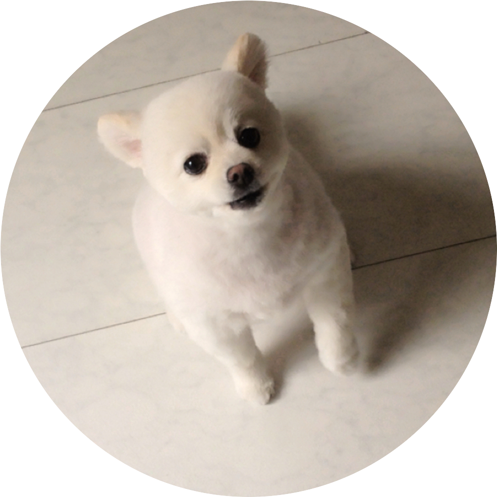 谷口貴大（ヤングアニマル編集部）